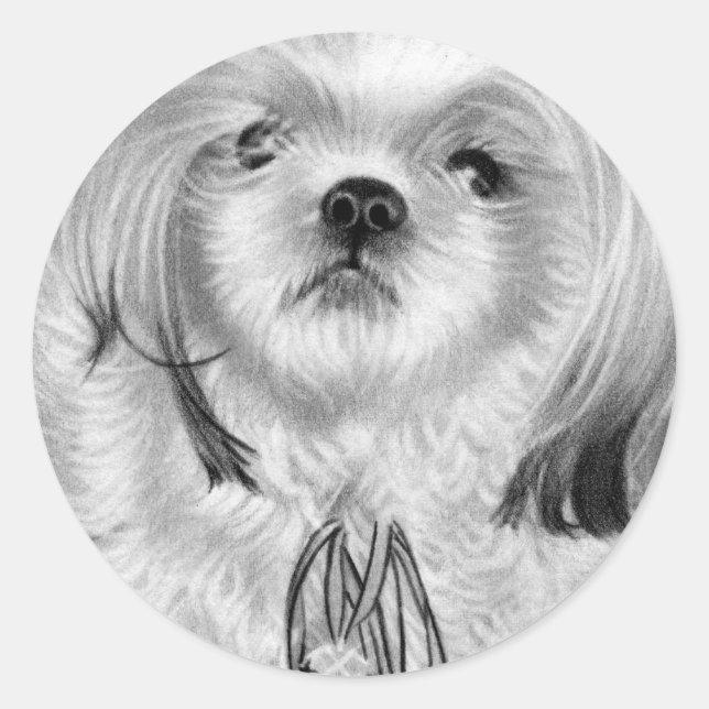 Adesivo Vaca-rolha (Frente)