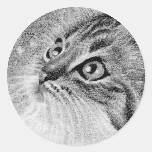 Adesivo Vamos Neve Kitty Cat (Frente)