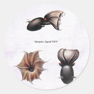 Adesivo Vampire Squid Sticker