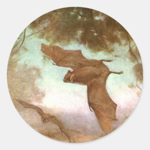 Adesivo Vampiro Bats por Swan CE, Vintage Selvagens