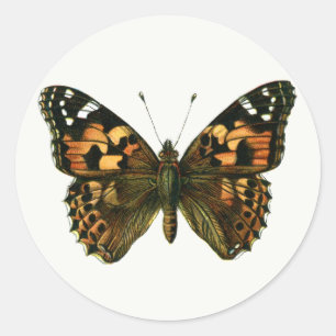 Adesivo Vanessa cardui - A Pintada Lady Butterfly Keycha