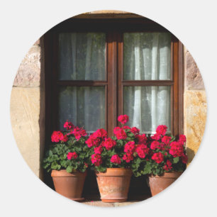 Adesivo Vasos de flores na janela da aldeia
