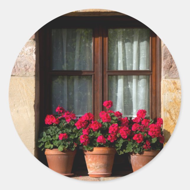 Adesivo Vasos de flores na janela da aldeia (Frente)