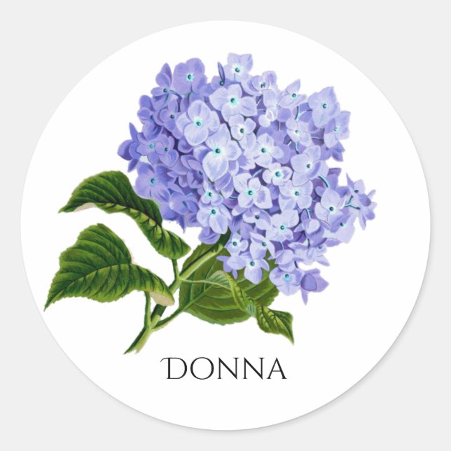 Adesivo Vedal de Envelope de Hyrdangea Floral de Verão (Frente)