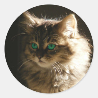 Adesivo Vedantes de envelope de olhos de gatinhos