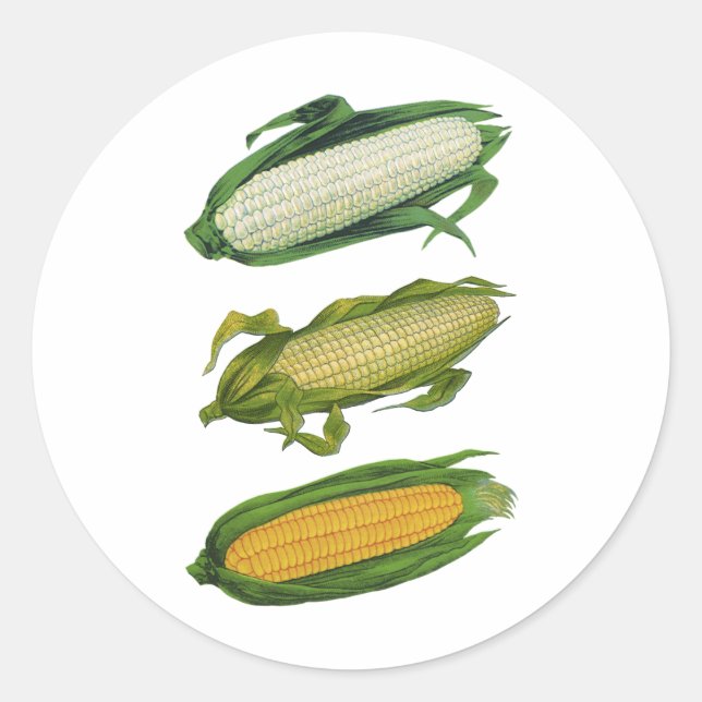 Adesivo Vegetais saudáveis da Comida de colheita, milho fr (Frente)