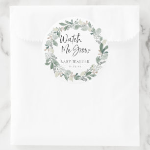 Adesivo Veja-me crescer   Favor do Chá de fraldas Eucalyp