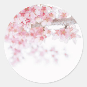 ADESIVO VELOPE SINALIZADOR: CHERRY BLOSSOM