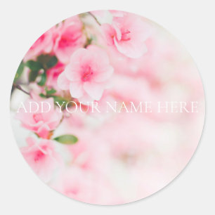 ADESIVO VELOPE SINALIZADOR: SANGUE DE ÁRVORE