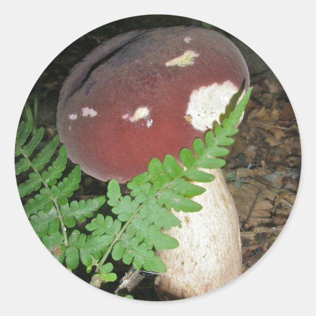 Adesivo Velvet Mushroom Stickers (Frente)