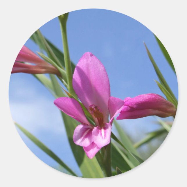 Adesivo Ventiladores cor-de-rosa primavera (Frente)