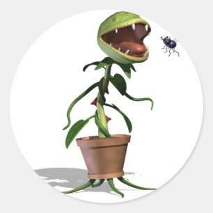 Adesivo Vênus Fly-trap Stickers
