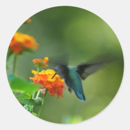 Adesivo Verão Hummer!