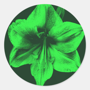 Adesivo Verde Amaryllis