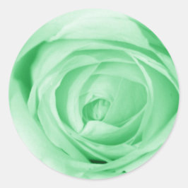 Adesivo Verde claro