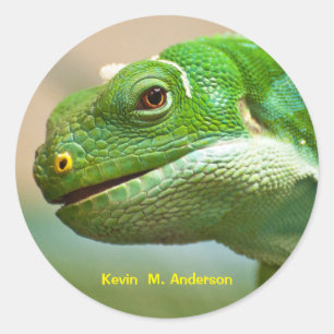 Adesivo Verde - Réptil Fechado
