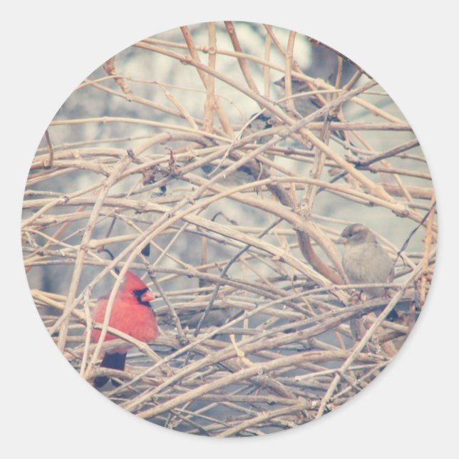 Adesivo Vermelho em um sonho inverno por angelandspot. (Frente)