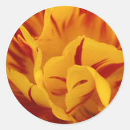 Adesivo Vermelho Floral Elegante e Tulipas Monsella Dourad