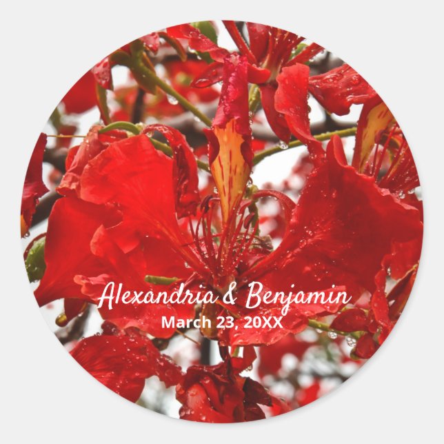 Adesivo Vermelho Floral Flamboyant Personalize Natureza (Frente)