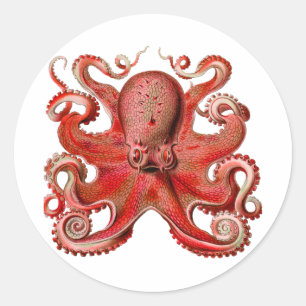 Adesivo Vermelho Octopus Haeckel