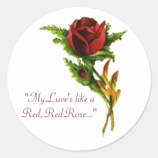 Adesivo Vermelho, Rosa vermelha (Frente)