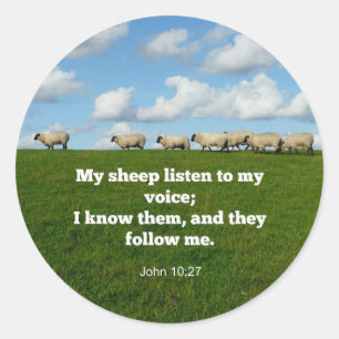 Adesivo Verso Bíblia, John 10:27, minhas ovelhas...