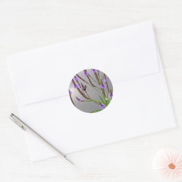 Adesivo Vervain Sticker