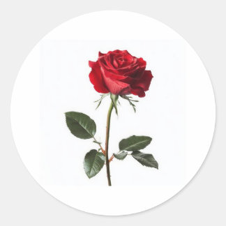 Adesivo Very beautiful, 👍 nice design