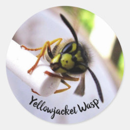 Adesivo Vespa Amarela (Vespulae) Rosto Fofo