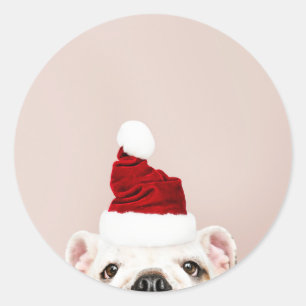 ADESIVO VESTIDO DE BOLLDOG DE NATAL