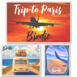 Adesivo Viagem a Paris (Carimbos de Viagem) Mala de Avião