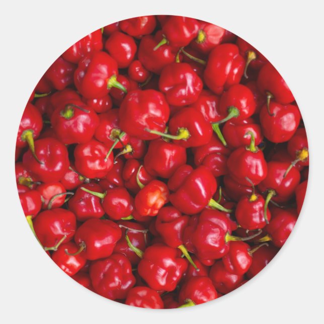Adesivo Vibrant Red Chili Pepper Harvest (Frente)