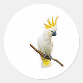 Adesivo Vibrante Cacatua Tropical - Papagaio Indonésio Exó