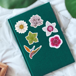 Adesivo Vibrante, Colorida, Desenhada À Mão E Selvagem