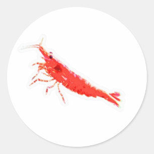 Adesivo Vibrante de Camarão Cereja Vermelho, Premi