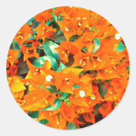 Adesivo Vibrantes Flores de Bougainvillea Laranja