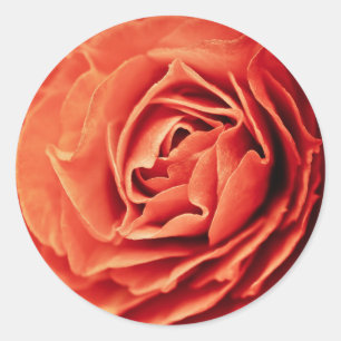 Adesivo vida cor-de-rosa