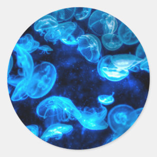 Adesivo Vida Marinha Azul-Jellyfish