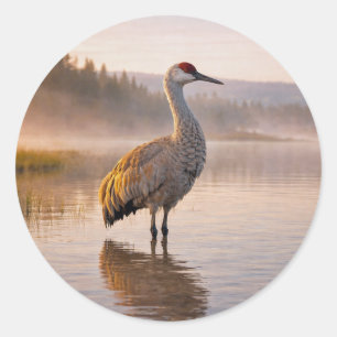 Adesivo Vida Selvagem Grou-da-areia Pântano