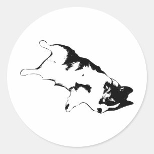 Adesivo Vida útil do flop