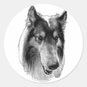 Adesivo Vigilante & Sereno – Collie