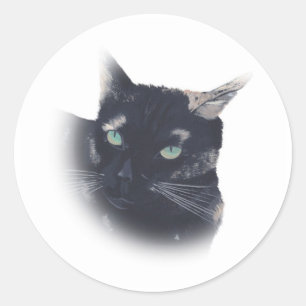 Adesivo Vigneta de Tortoise Shell Face Stickers