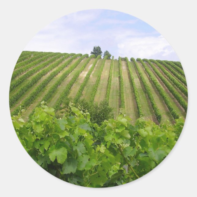 Adesivo Vineyard - Vinhedo (Bordéus - França) 02 (Frente)