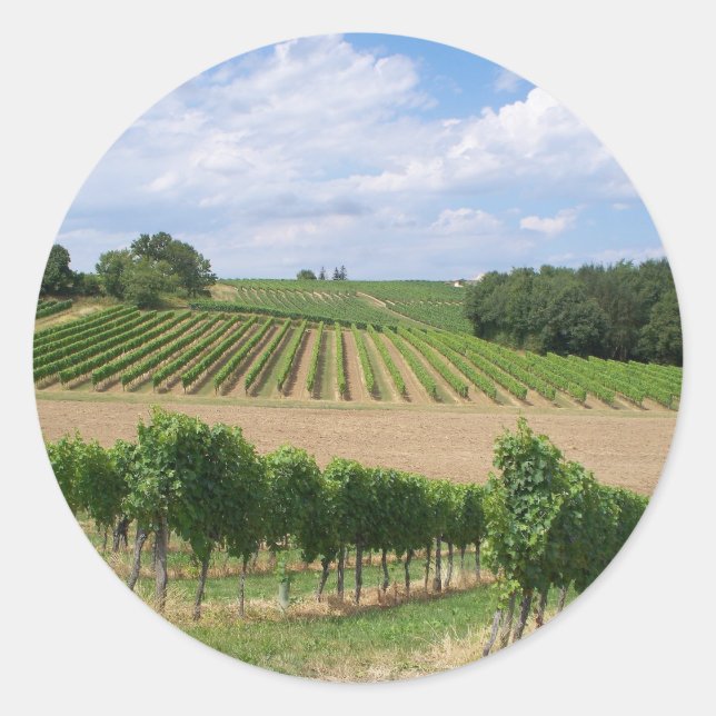 Adesivo Vineyard - Vinhedo (Bordéus - França) 04 (Frente)