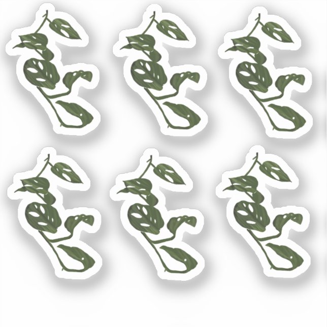 Adesivo Vinha Monstera Design (Frente)