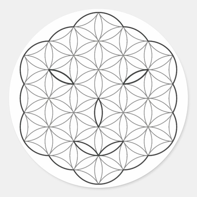 Adesivo Vinheta (Frente)