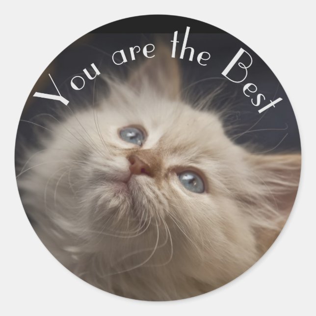 Adesivo Vinheta (Frente)