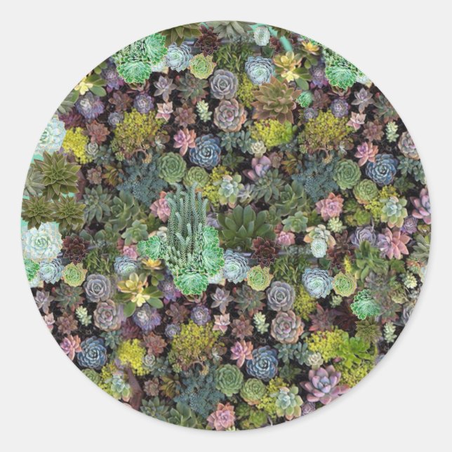 Adesivo Vinheta (Frente)