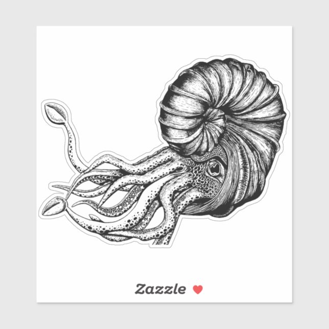 Adesivo Vinheta ammonita (Folha)