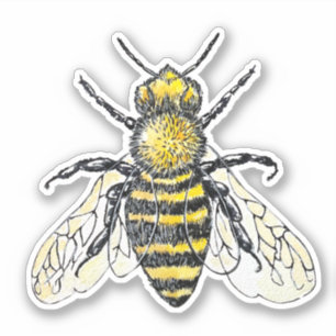 Adesivo Vinheta Aquarela de Bee